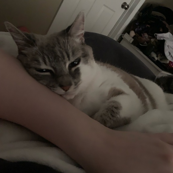 Meet your Posher, Mars - Picture 1 of 1